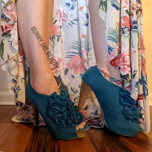 Thinking about putting these girls out to pasture... by buneez