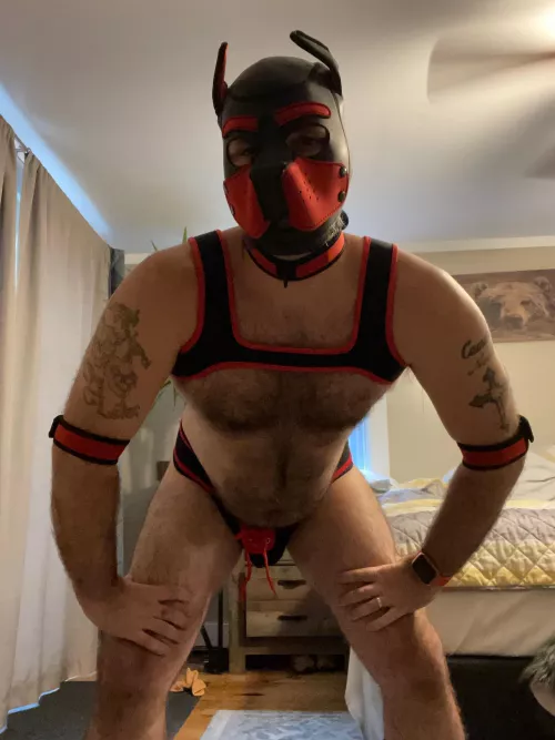 Thinking of adding more pup play content? by NHOtter