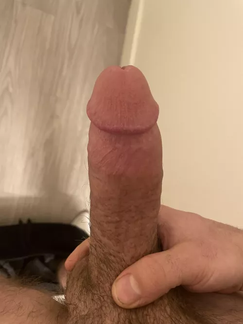 Thinking of ways to spend this lazy Sunday by Swaured