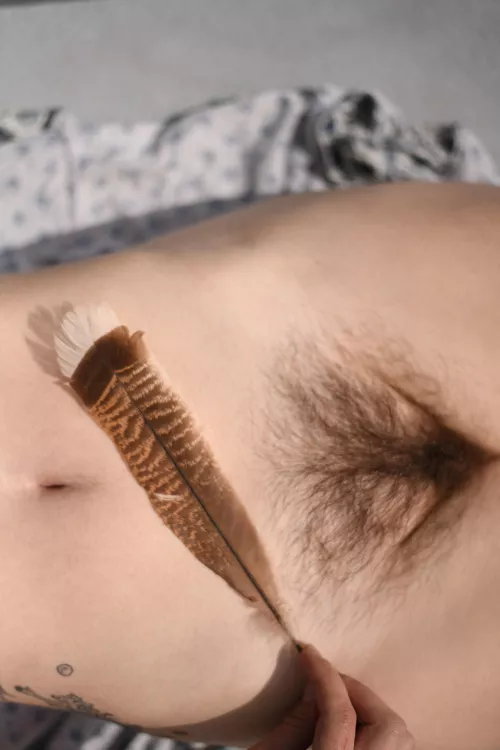 This bush is pure art! What do you think? by iceeebabyy