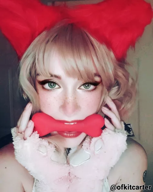 This christmas kitty found a bone! by KitCarter95