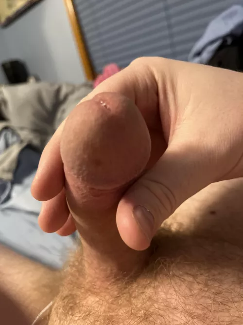 This cut cock rarely precums, so when I do it’s an extra special occasion by Far-Trade-6948