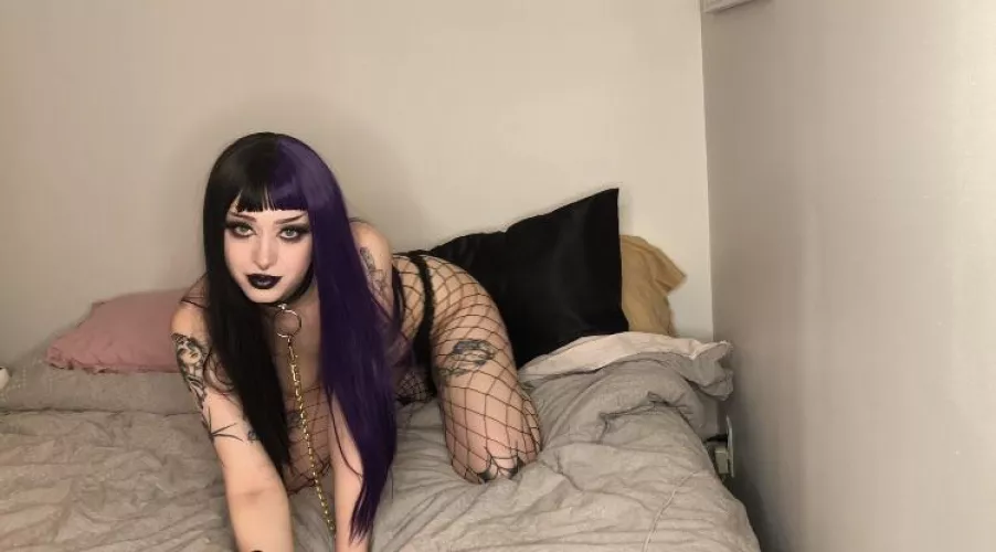 This dog needs some serious training 🐶😈 by daisyhayes