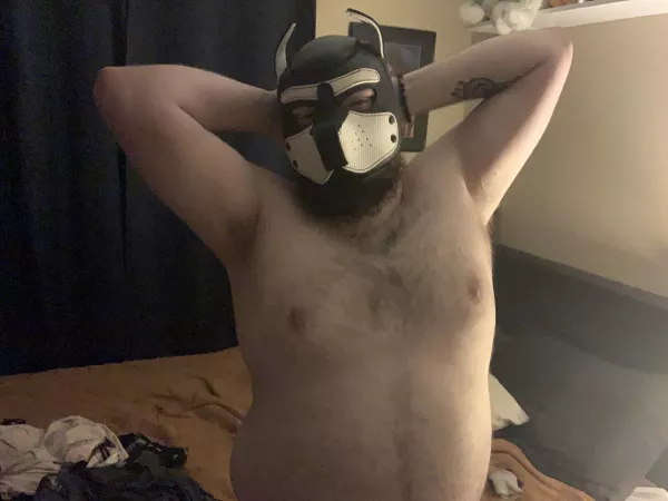 This good boy is majorly looking for some hypnosis training! [27M] by beyondthewolf