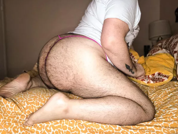 This hairy ass is begging for attention by HairyBottom20