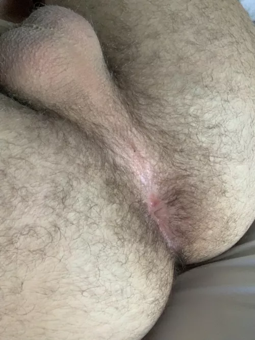 This hairy hole needs you bro ;) by Southern_Discount743
