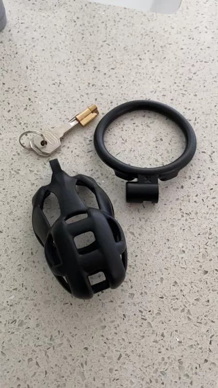 This is going to be fun