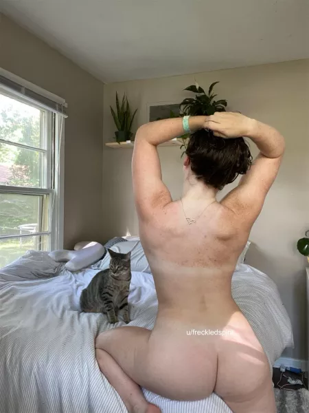 This is hansel by freckledspirit