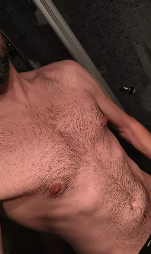 This is my chest, I don't know if it's the best. But I thought I'd share with you all, hopefully it doesn't appall. So please enjoy my hairy tits, can't think of another good rhyme so I'll just call it quits. Peace ✌️ by FlawlessLemur