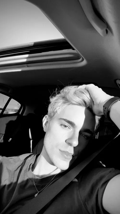 This is my favorite subreddit 🤍 by ThatSimYouKilled