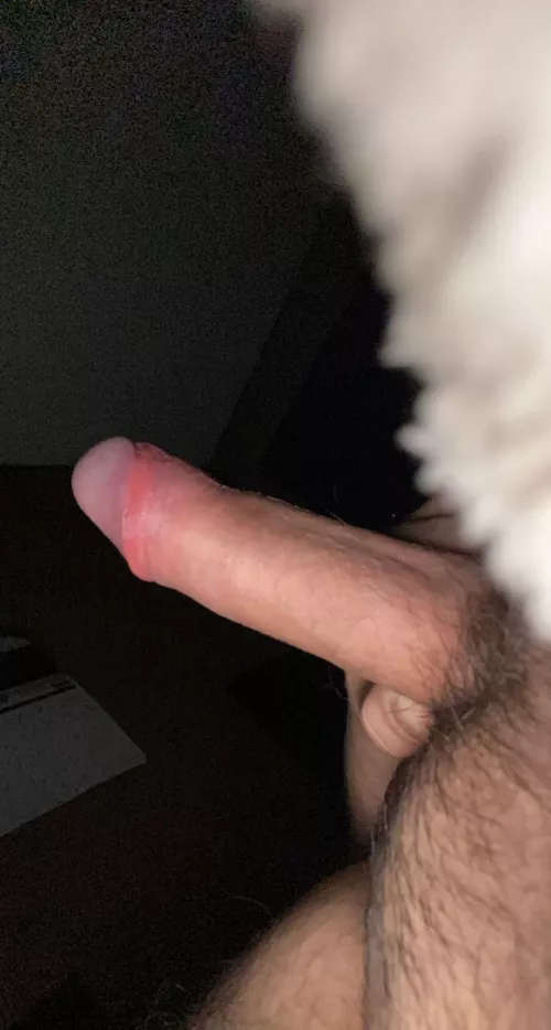 this is my first post what do you guys think?? by Mammoth-Solution8501