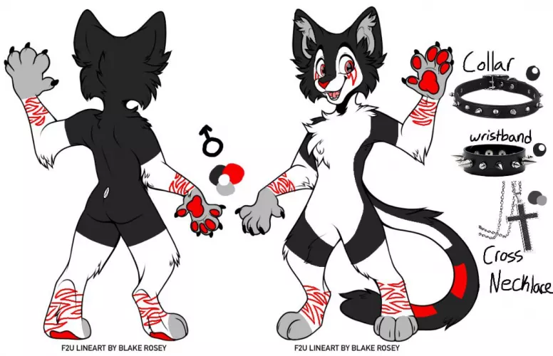 This is my fursona! My cousin took the base and colored it in! by JakeyBoi1500