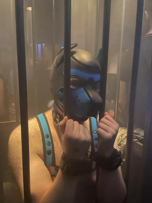 This is not fair, let me out D: by MagicTentacle