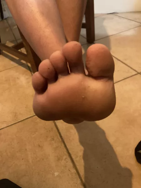 This little piggy decided to chance a pic by blooburriess