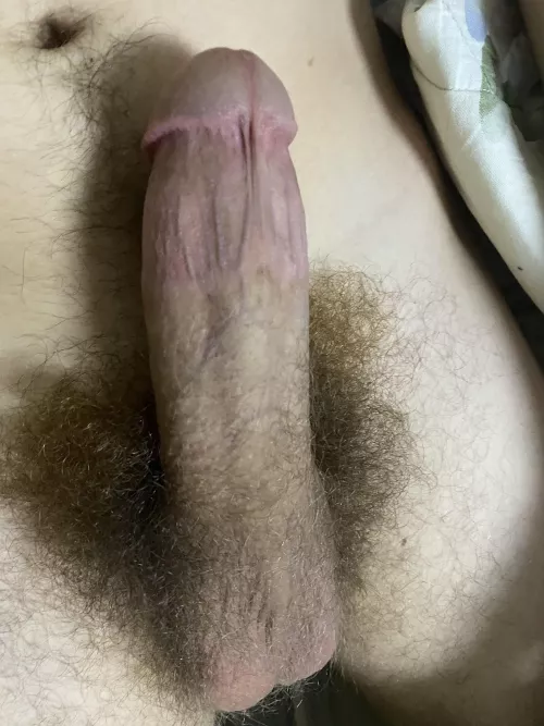 This looks like fun by TheBrazenBell