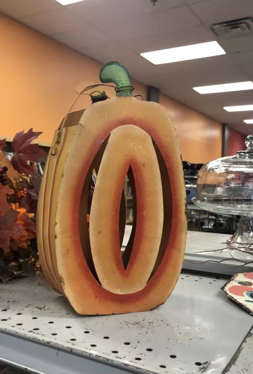 This pumpkin I saw at goodwill by LivinLaRickiLoca