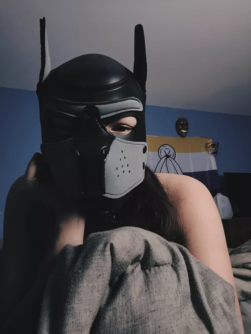 This pup is bored 😴 by jperseliarain