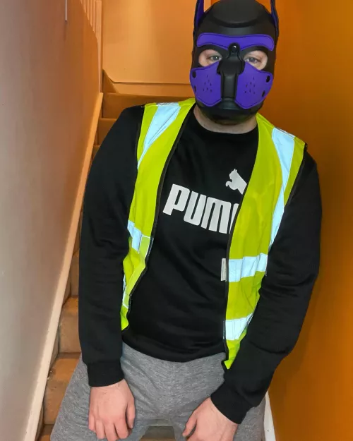 This pup is ready for the weekend, are you?. If you have instagram please follow me @pup.spencer. 💜💜💜 by Pupspencer