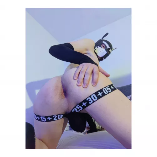 this puppy top has a butt too 🐺🍑 by nickthewolfboi