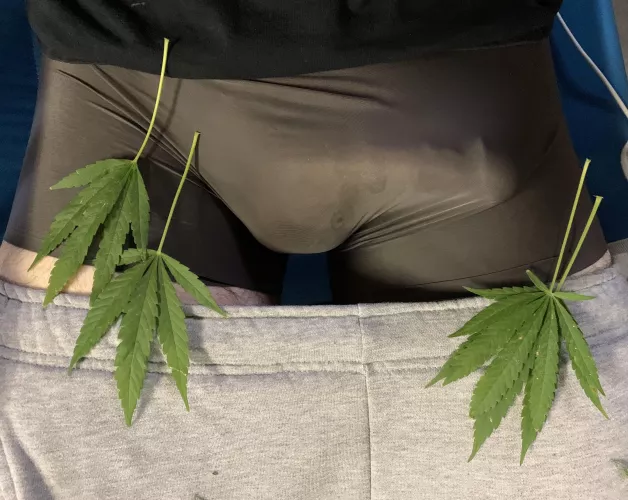 This underwear doesn’t really hide any of the details… by abcdefkid