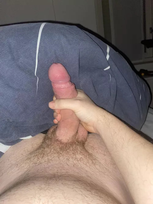 This virgin cock needs a home, will you give it one? by ThrowAway010101287
