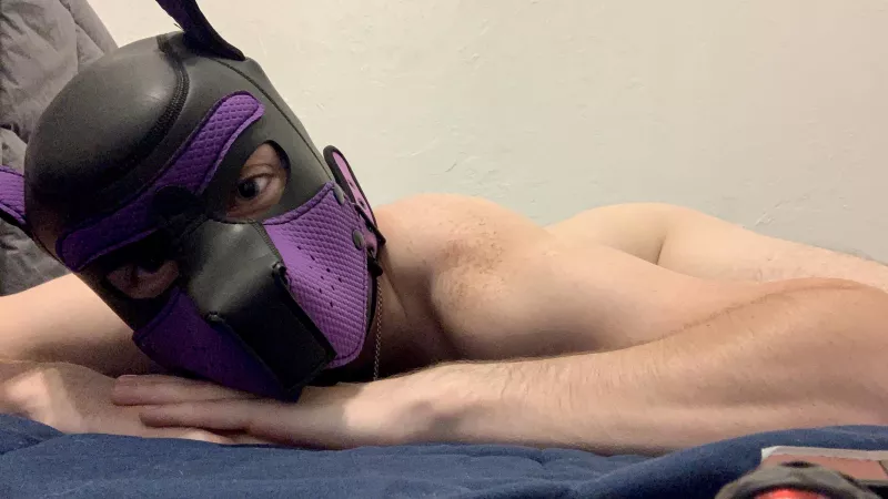 This wolf is lonely. Come keep me company 🐺 by Dom_Beastie