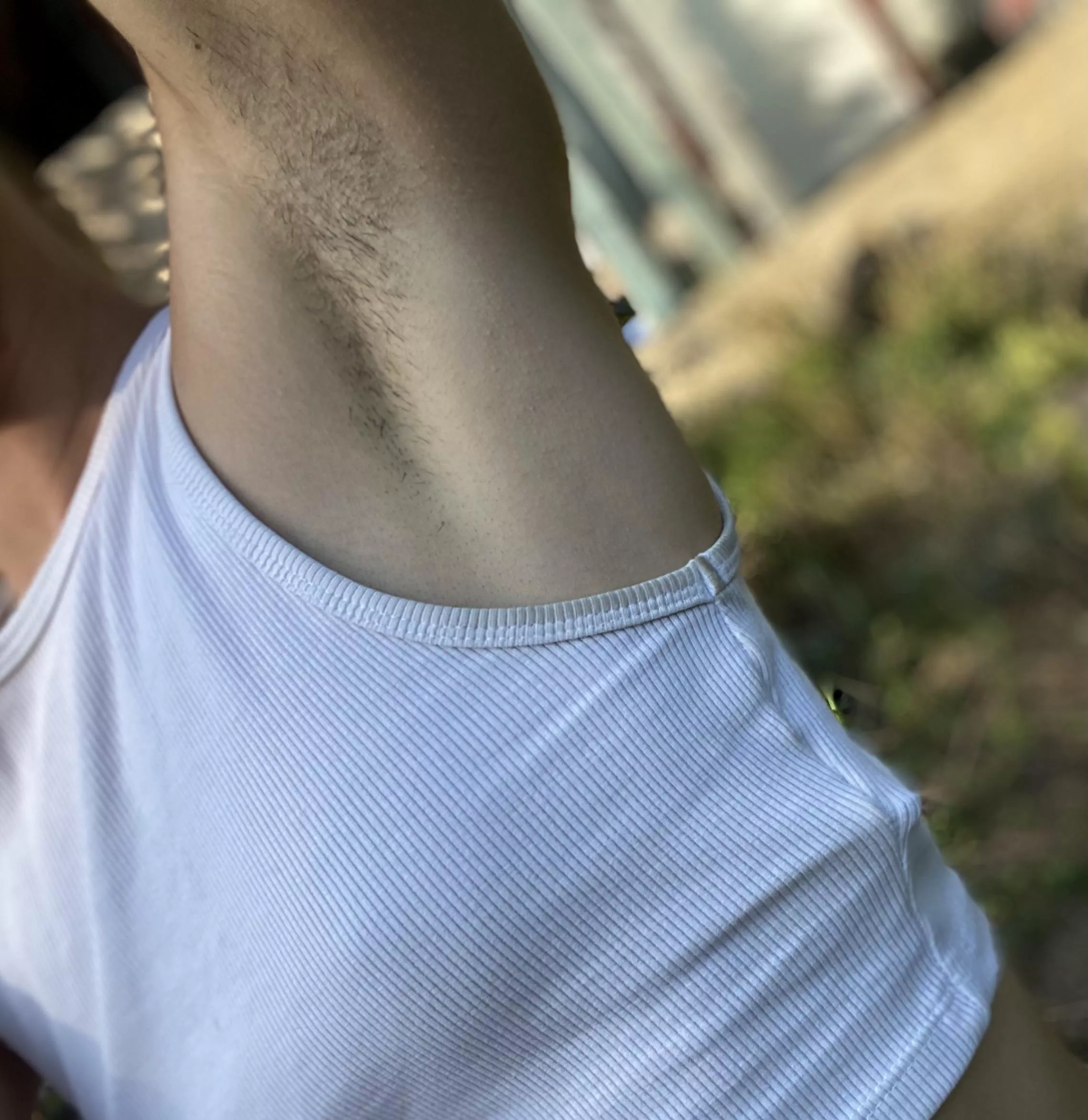 Those little guys 😸 posted by SoggyParty