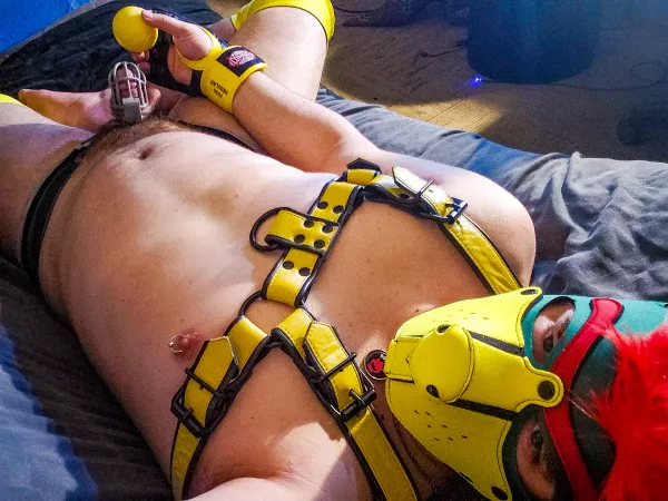 Thought id try to earn some money by letting people buy days im in chastity ^-^ wanna lock Bowser up? by PupNiko1234