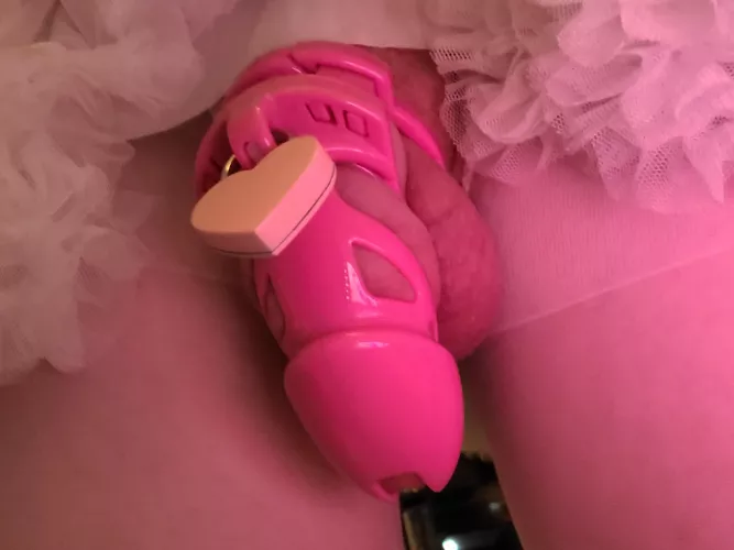 Thought it looked cute! by ambient_virgin