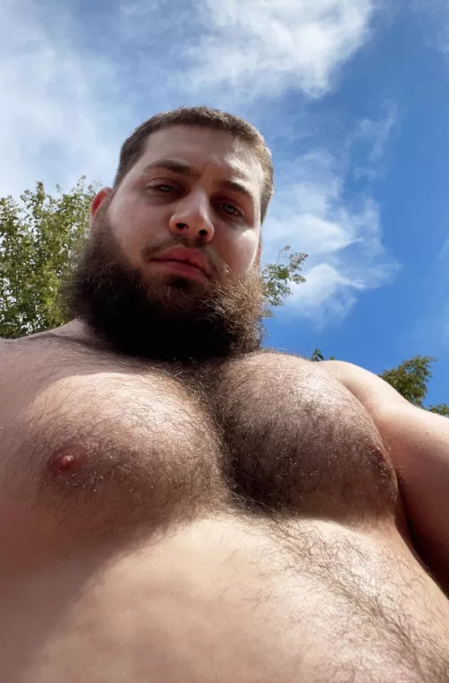 Thought you guys might like this one by andy_11900