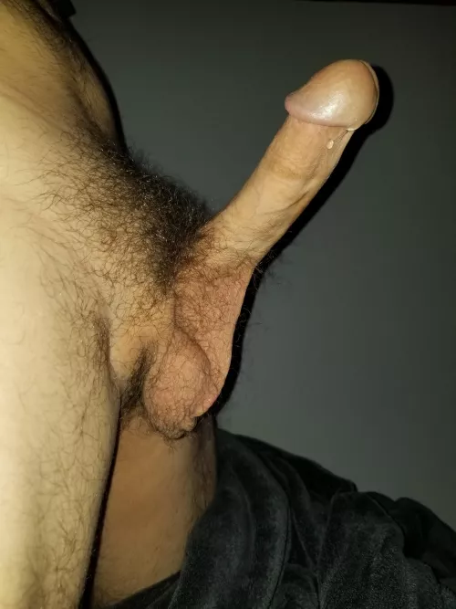 Thoughts? by faroutski