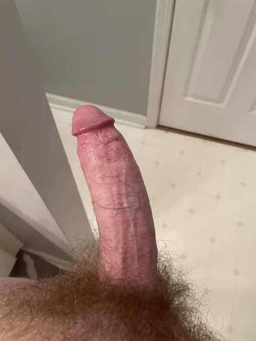 Thoughts? by cmtur72