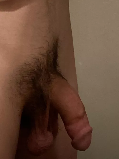 ?? Thoughts? by ImprovementGrouchy24