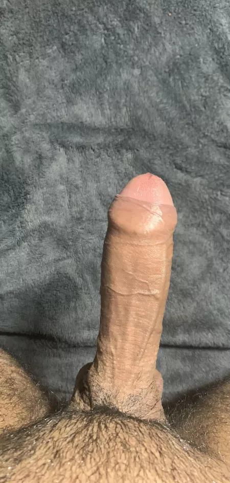 Thoughts? by MexicanTaquitolol