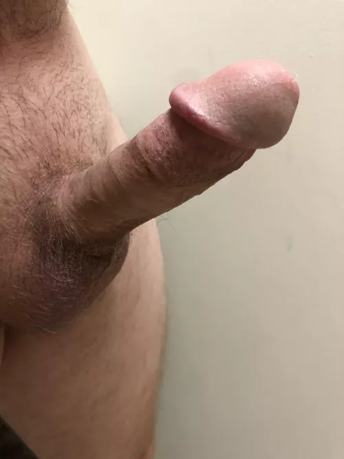 Thoughts? by LoneGopher27