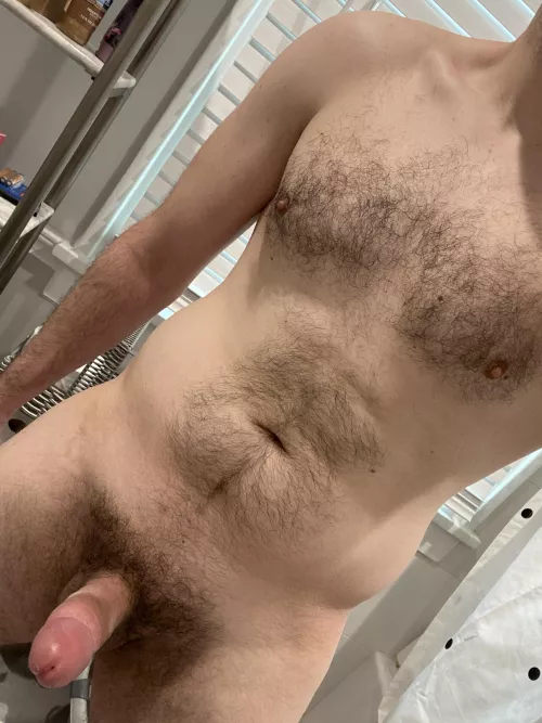 Thoughts? by Traditional_Point_58