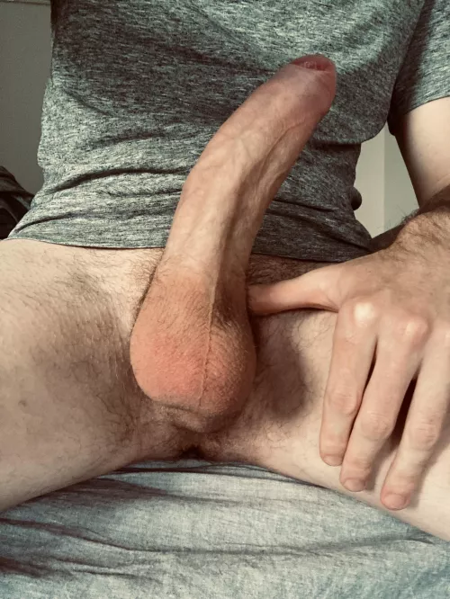 Thoughts on a uncut cock ? by wandering-lust