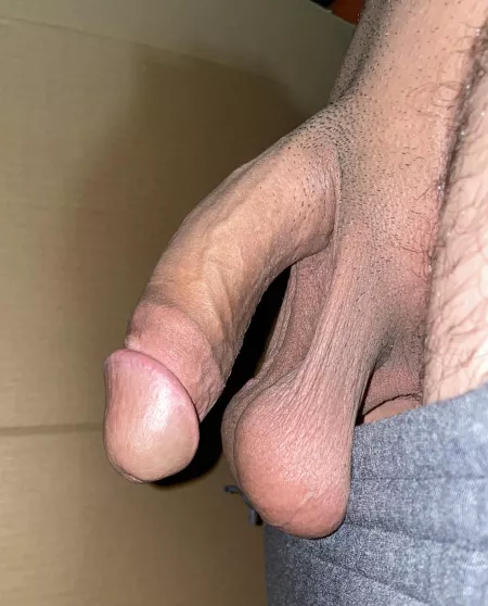 Thoughts on daddy and his fat balls? 😈 by robma973