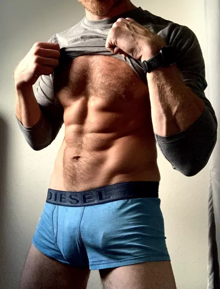 thoughts on my outline? by SilverwolfAlert