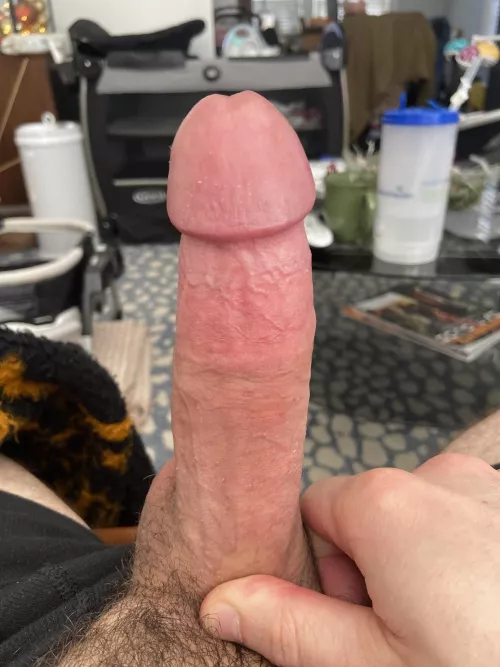 Thoughts? by Traditional_Point_58