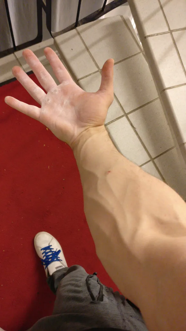 Three hours of climbing gives a good pump posted by Belanarino