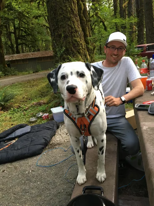 Throwback to warm weather and camping trips :) by TheGaySloth