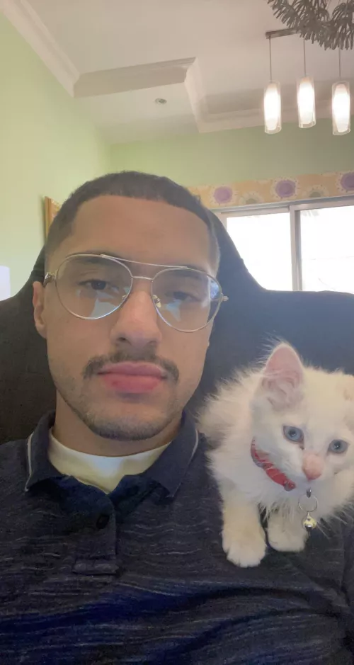 Throwback to when my cat was a baby by SrSAT