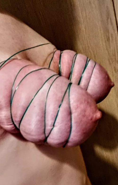 Tied and wrapped by Snoo-90330