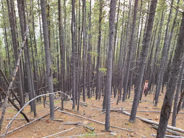 Tied up just off the trail, nothing to do but wait and hope no one else stumbles upon me...