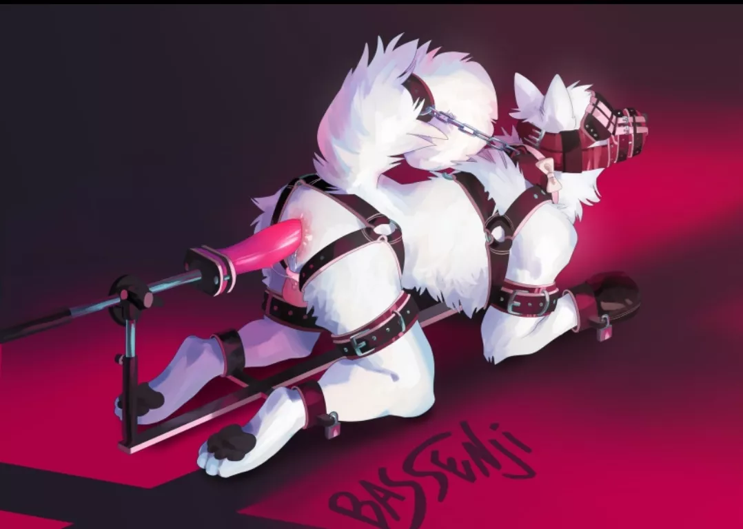 Tied up with a dildo [M]achine is the dream posted by Anal_femboi