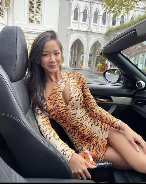 Tiger by WasabiHuman