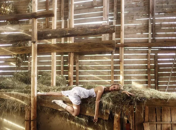 Tiger in the tree by [deleted]