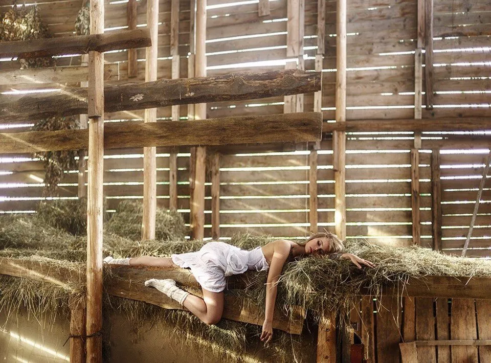 Tiger in the tree posted by [deleted]