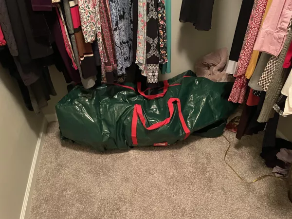 TIL XMas tree bags make for great cheap doll storage/hiding by amiadair